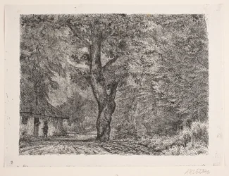 Het huis in het bos
