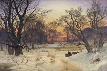 Winternacht in een bos