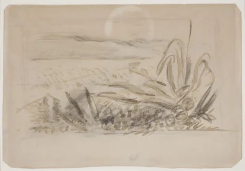 Landschap met Agave. Zuid-Frankrijk