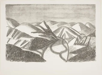 Zuid-Frans landschap