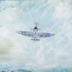 Spitfire aas van schoppen, 2016