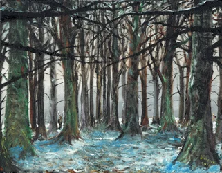 Hert en Renner Lyme Park, 2016