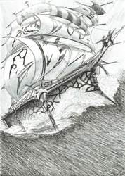 Storm Scheppers Arafura Zee