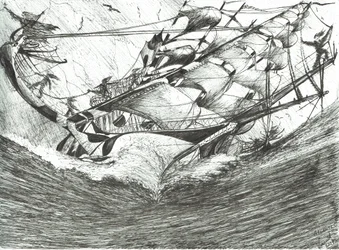 Stormscheppers Arctische Oceaan, 2017