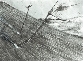 Stormscheppers Zwarte Zee, 2017