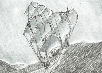 Storm Scheppers Koraalzee