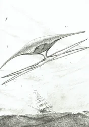 Stormscheppers Foxe Basin, 2022