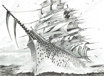 Stormscheppers Hawke Bay, 2022