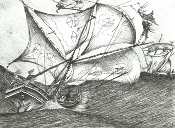 Stormscheppers Indische Oceaan, 2017