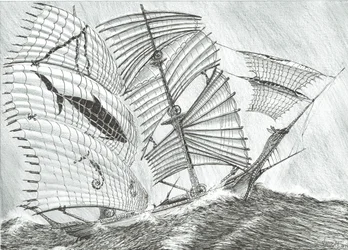 Storm Scheppers Savu Zee