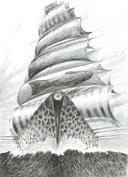 Stormscheppers Tosa Wan, 2022