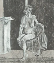 De Zitter