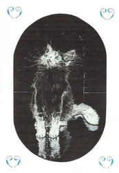 pagina1, Het Kasteel in het Bos van Findhorn, 2006