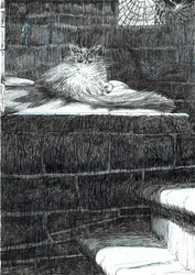 pagina21, Het Kasteel in het Bos van Findhorn, 2006