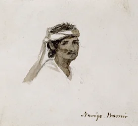 Navajo krijger, 1869-1871