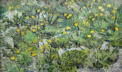 Les pissenlits, 1889