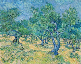 Olijfgaard, 1889