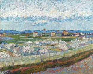 Perzikbomen in Bloei, 1889