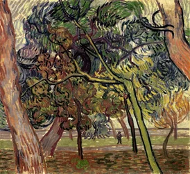 Pijnbomen in de tuin van het asiel, 1889