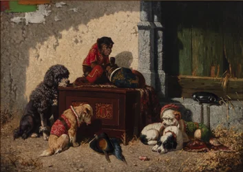 Circus Metgezellen
