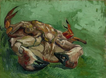 Een krab op zijn rug