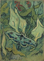 Keizerspinner