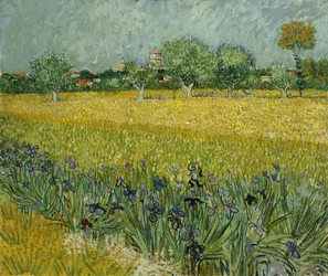 Veld met bloemen bij Arles