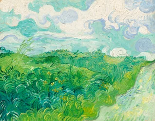 Groene tarwevelden, Auvers