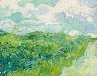 Groene tarwevelden, Auvers