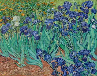 Irissen