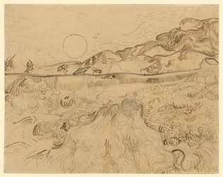 Korenveld, de maaier
