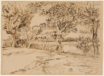 Landschap bij Arles
