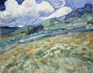 Landschap van Saint-Rémy