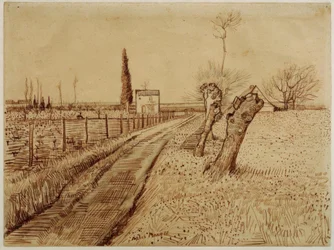 Landschap met weg en knotwilgen