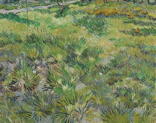 Lang gras met vlinders