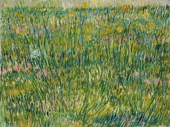 Grasveld