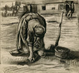 Boerin die aardappelen plant