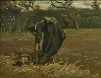 Boerin, aardappelen oogstend, 1885