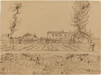 Ploeger in de velden bij Arles