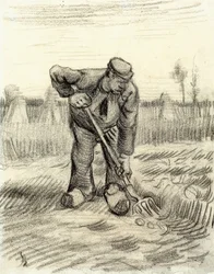 Aardappelverzamelaar