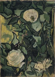 Rozen
