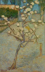 Kleine perenboom in bloei