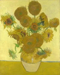 Zonnebloemen