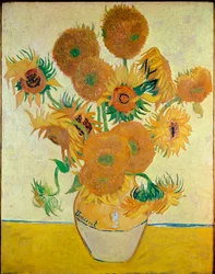 Zonnebloemen