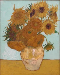 Zonnebloemen