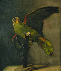 De groene papegaai, 1885