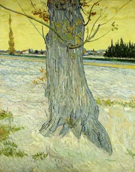 De Oude Boom