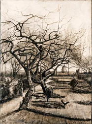 De pastorie tuin in Nuenen in de winter