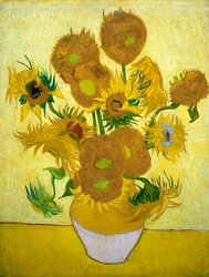 De Zonnebloemen