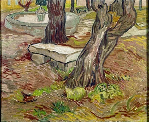 Het park van het Saint Paul asiel in Saint-Remy